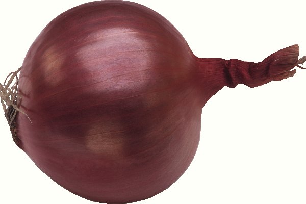 Сайт кракен закрыли onion top