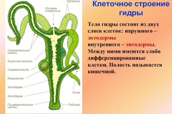 Ссылка на kraken в тор телеграм