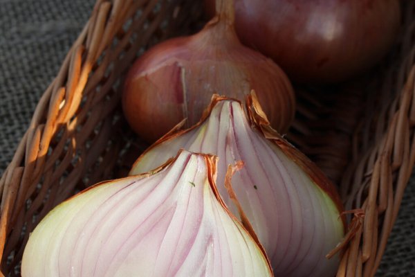 Кракен сайт регистрация kraken ssylka onion