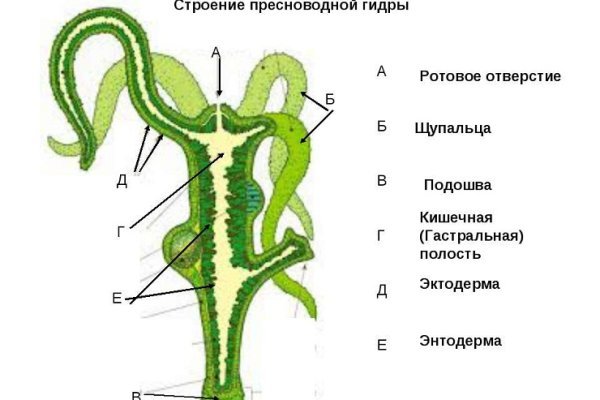 Кракен ссылка германия